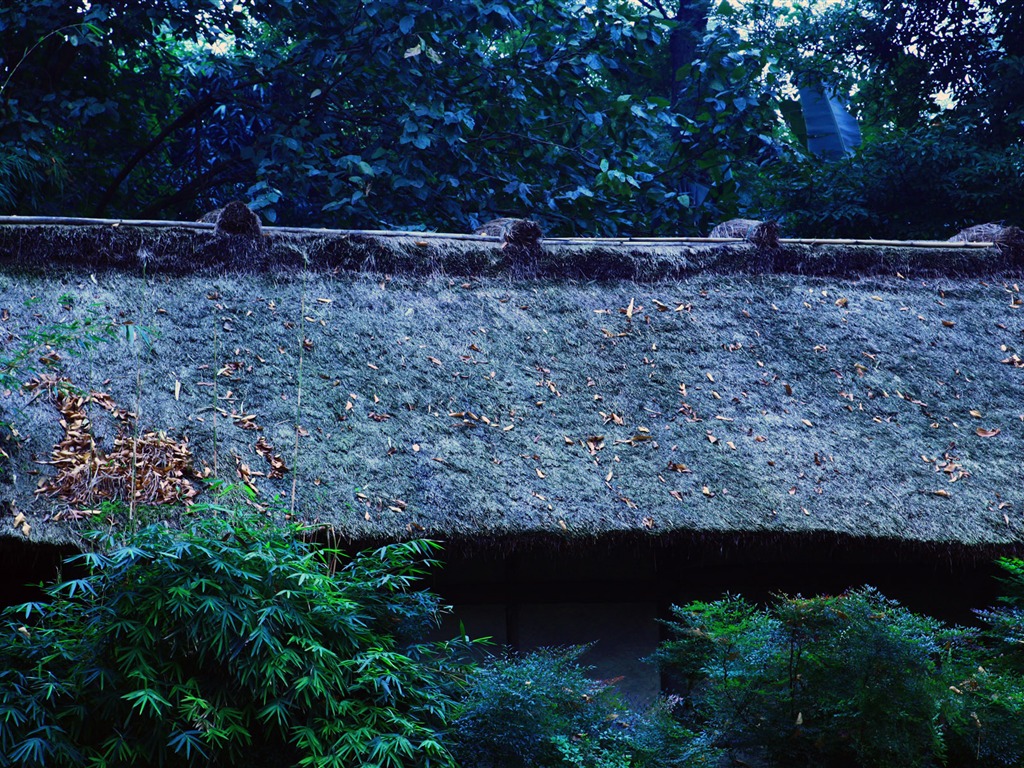 Chengdu Impression Tapete (2) #16 - 1024x768