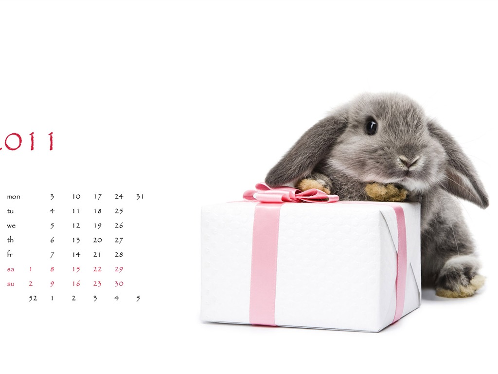 Jahr des Hasen Kalender 2011 Wallpaper (1) #2 - 1024x768