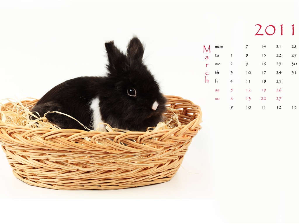 Year of the Rabbit 2011 calendar wallpaper (1) #3 - 1024x768