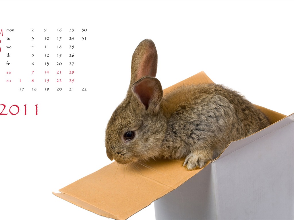 Year of the Rabbit 2011 calendar wallpaper (1) #5 - 1024x768