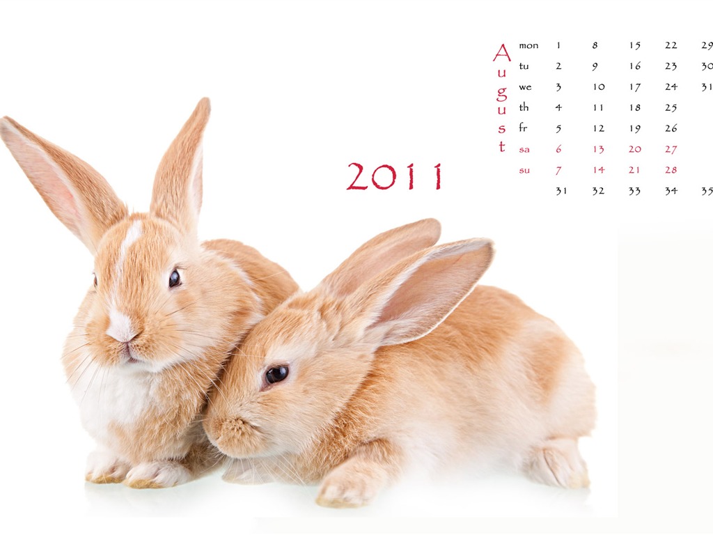 Year of the Rabbit 2011 calendar wallpaper (1) #8 - 1024x768