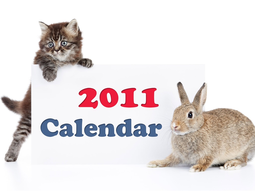 Rok 2011 králíka kalendář tapety (1) #13 - 1024x768
