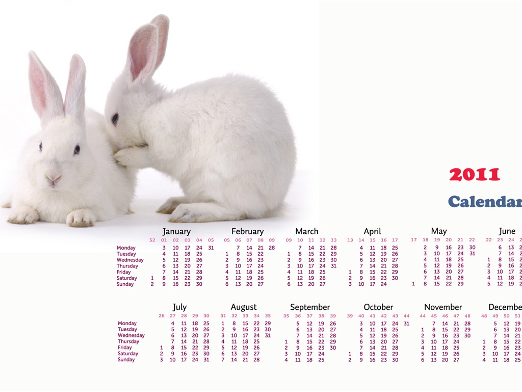 Year of the Rabbit 2011 calendar wallpaper (1) #17 - 1024x768