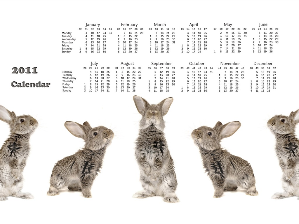 Year of the Rabbit 2011 calendar wallpaper (1) #18 - 1024x768