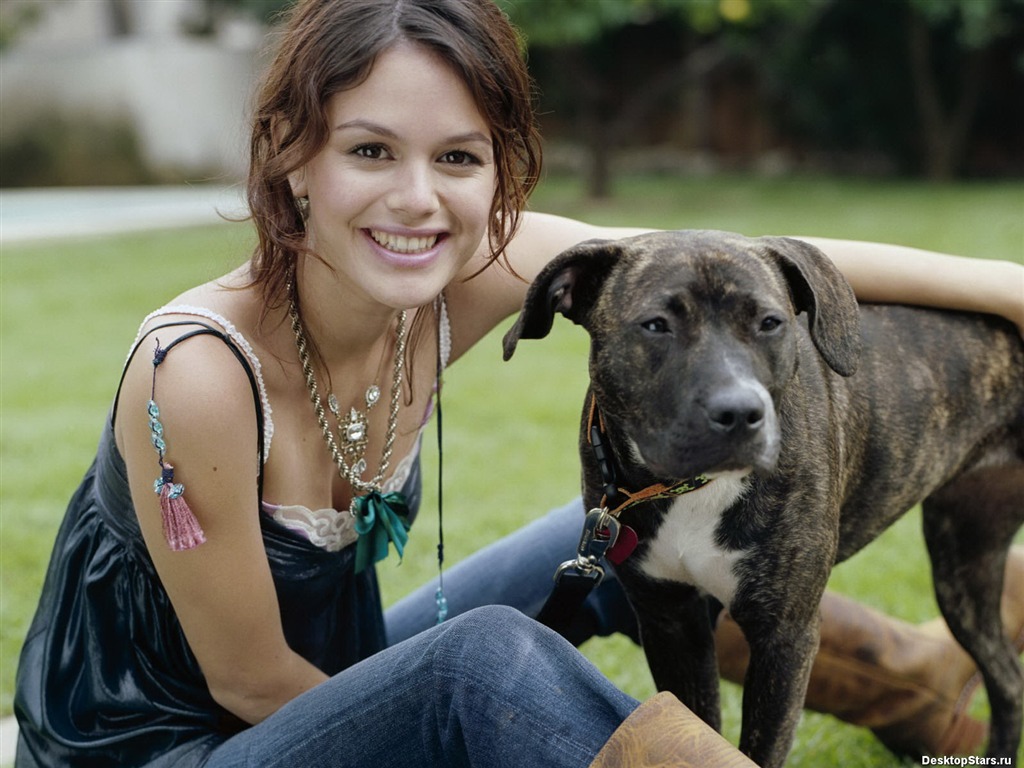 Rachel Bilson schöne Tapete (3) #32 - 1024x768