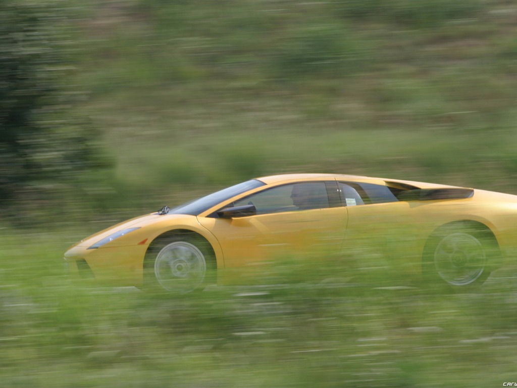 Lamborghini Murcielago - 2001 蘭博基尼(二) #5 - 1024x768