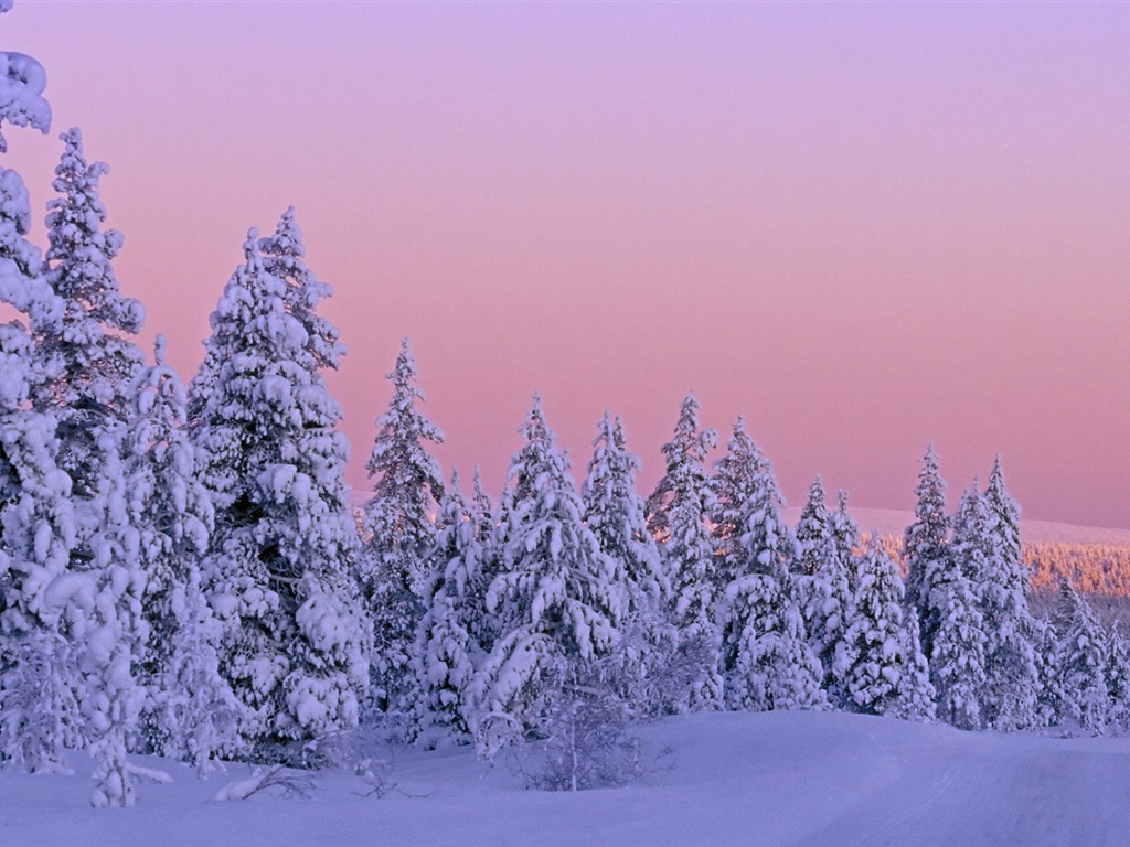 寬屏雪景 壁紙(四) #2 - 1024x768