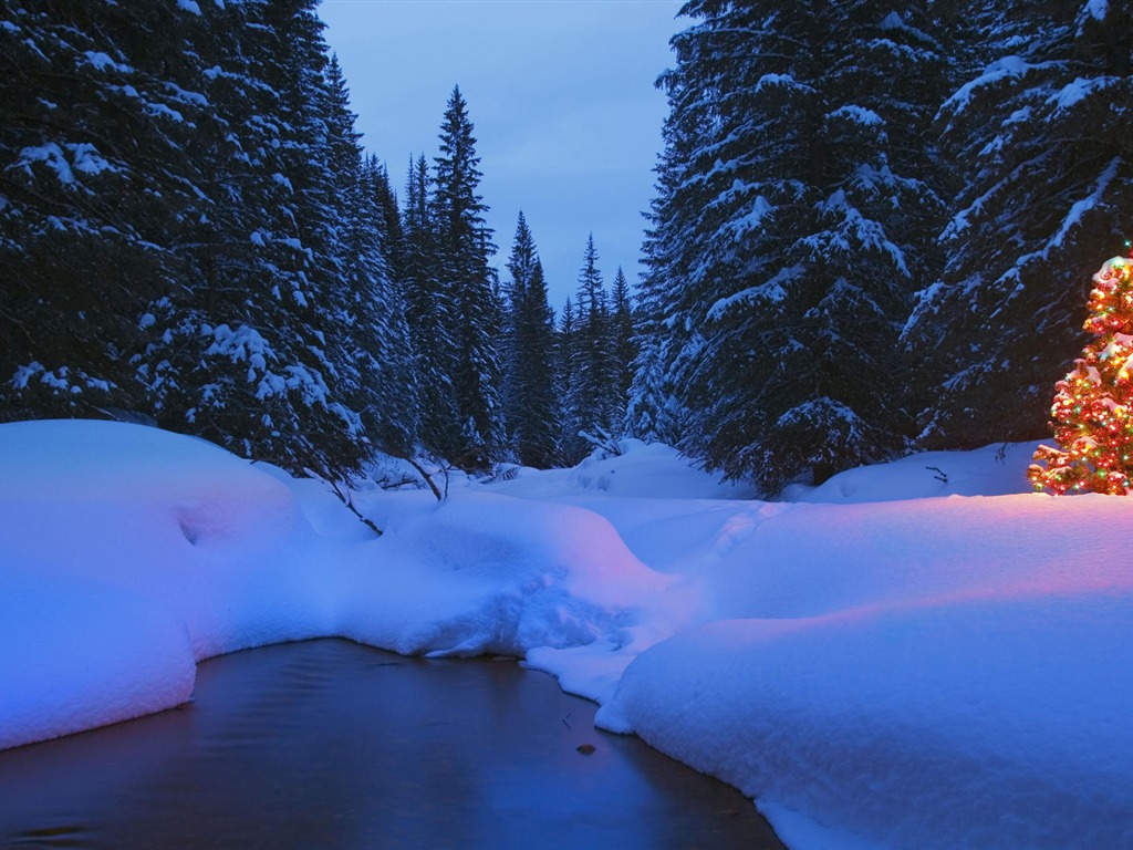 寬屏雪景 壁紙(四) #12 - 1024x768