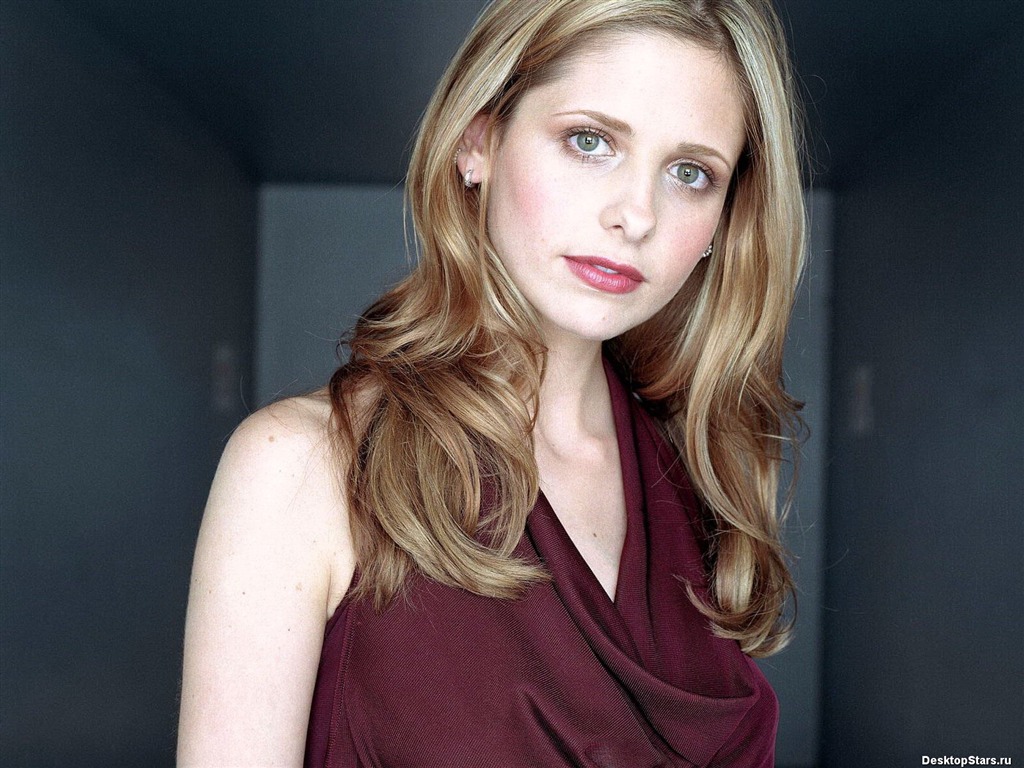 Sarah Michelle Gellar 莎拉·米歇尔·盖拉 美女壁纸(一)12 - 1024x768