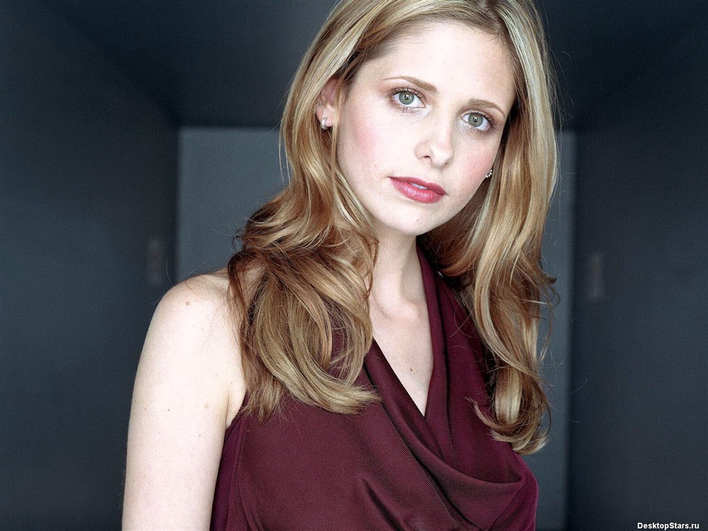 Sarah Michelle Gellar hermosos fondos de escritorio (1) #12 - 1024x768