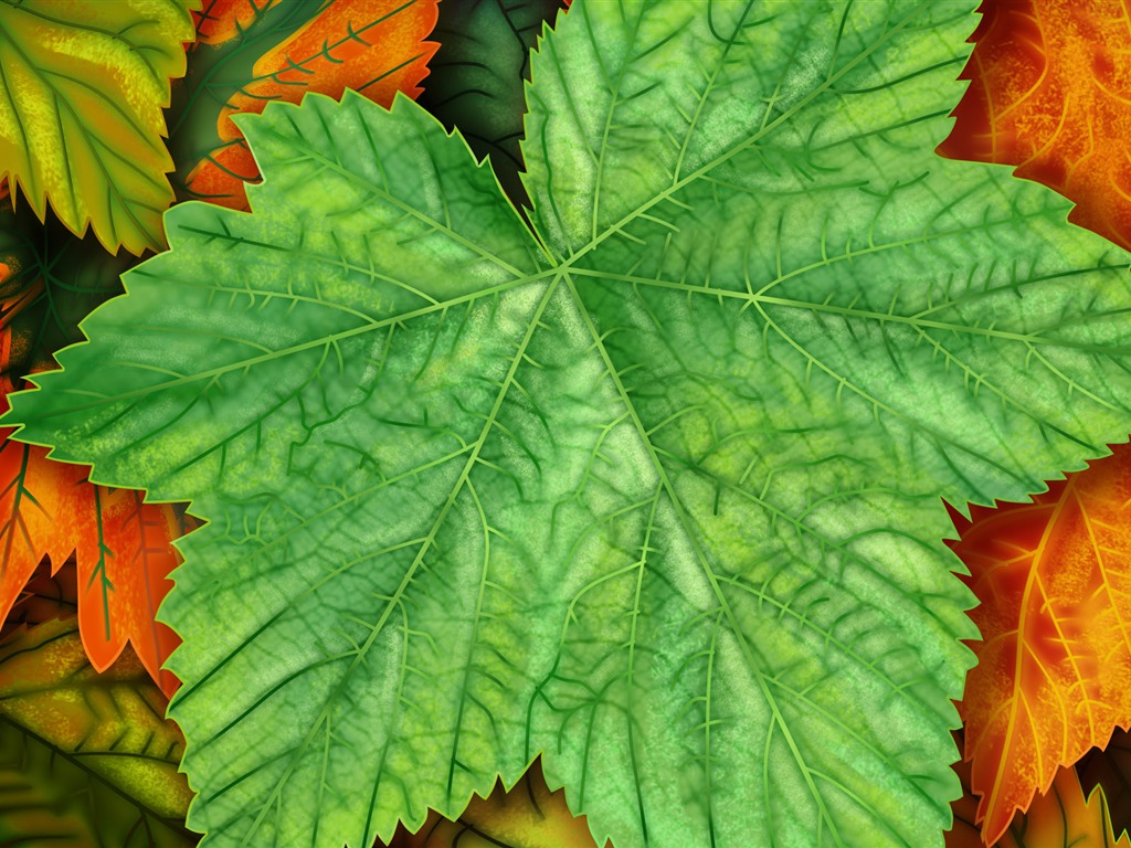 手繪炫彩生態風光 壁紙(一) #14 - 1024x768