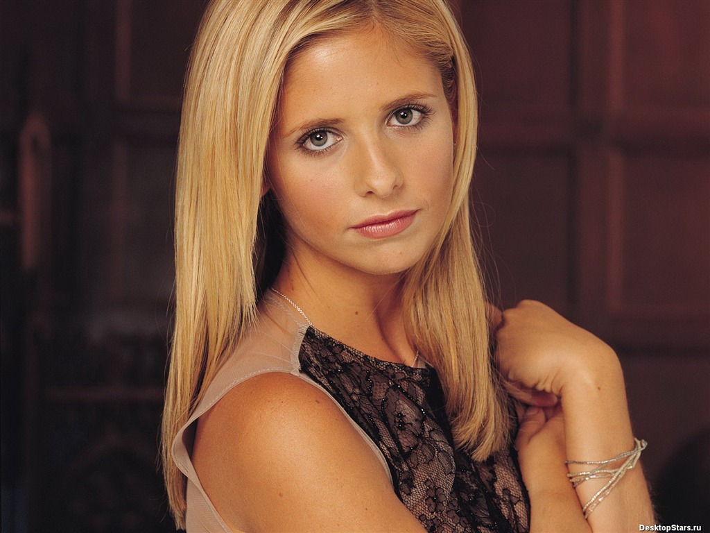 Sarah Michelle Gellar 莎拉·米歇爾·蓋拉 美女壁紙(二) #17 - 1024x768