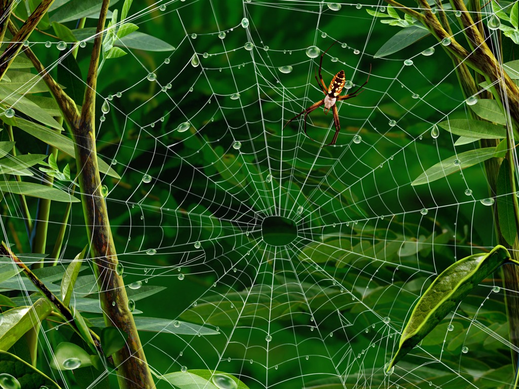 Colorido fondo de pantalla pintados a mano ecología del paisaje (3) #2 - 1024x768