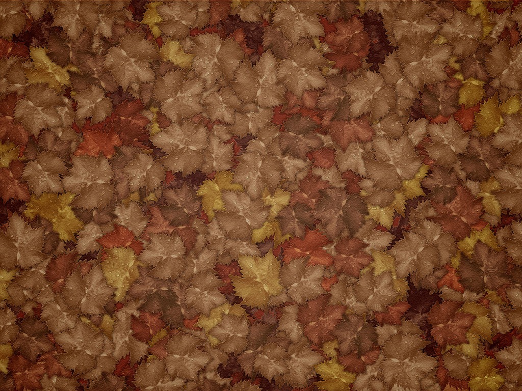 Vladstudio 壁紙專輯(17) #18 - 1024x768