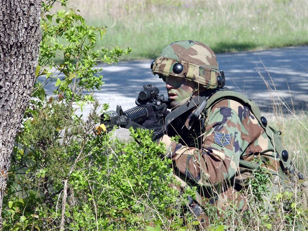 Battlefield fondos de escritorio de soldado (2) #19 - 1024x768