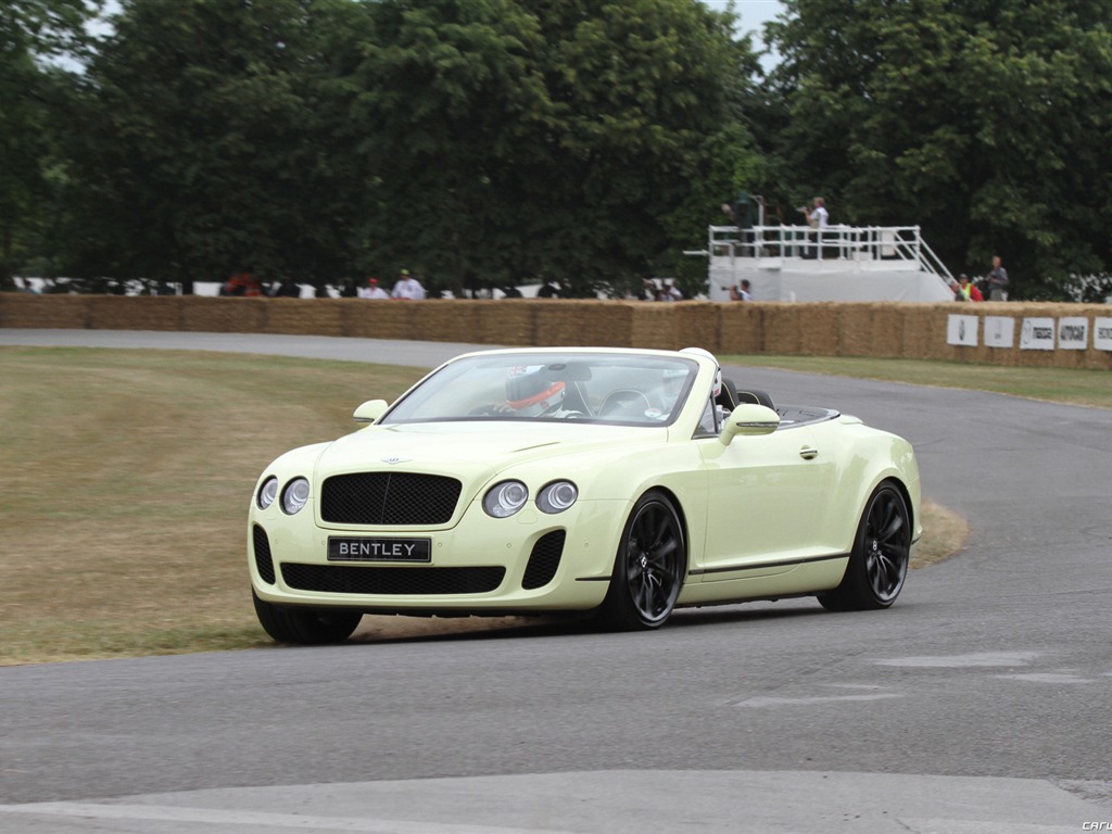 Bentley Continental Supersports Convertible - 2010 賓利 #20 - 1024x768