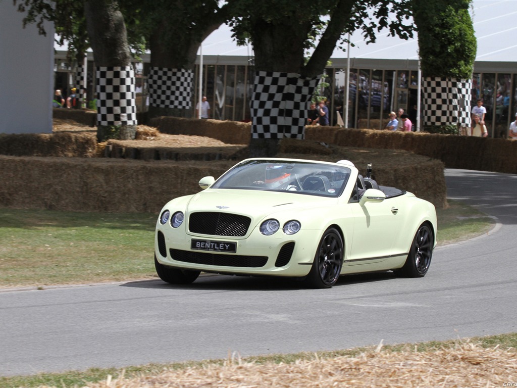 Bentley Continental Supersports Convertible - 2010 賓利 #22 - 1024x768
