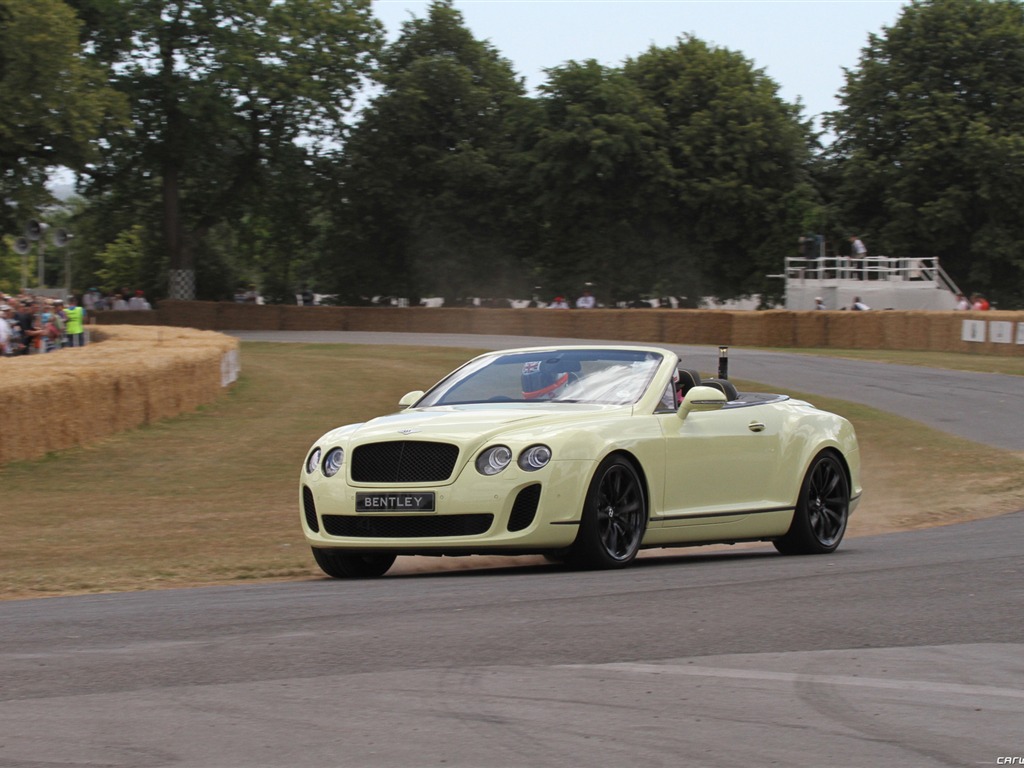 Bentley Continental Supersports Convertible - 2010 HD wallpaper #26 - 1024x768