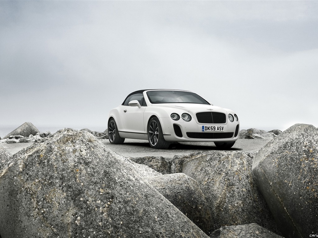 Bentley Continental Supersports Convertible - 2010 賓利 #35 - 1024x768