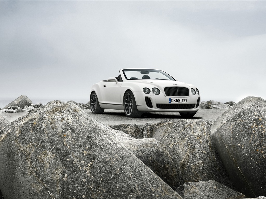 Bentley Continental Supersports Convertible - 2010 HD wallpaper #36 - 1024x768