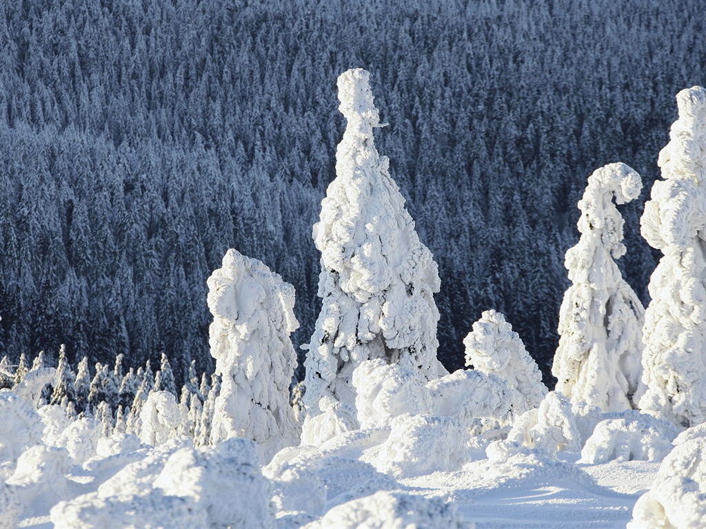 Tapety Krajina Kolekce (62) #3 - 1024x768