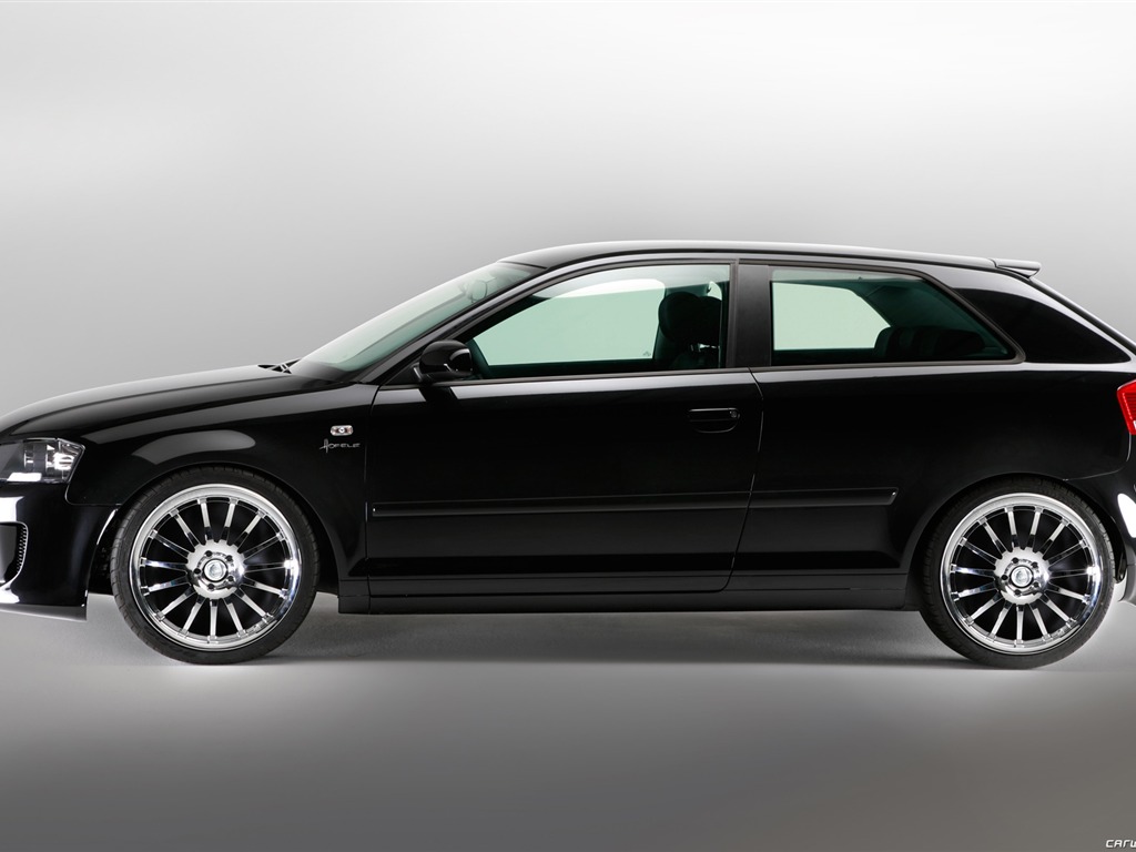 Hofele Audi A3 S3 8PA A4 B6 Cabrio A5 B8 Coupe 奧迪 #8 - 1024x768