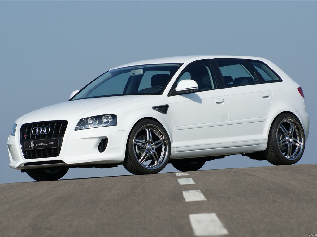 Hofele Audi A3 S3 8PA A4 B6 Cabrio A5 B8 Coupe 奧迪 #14 - 1024x768