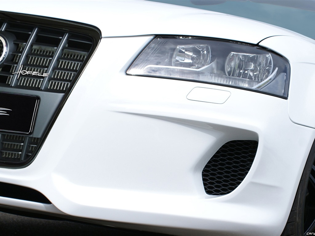 Hofele Audi A3 S3 8PA A4 B6 Cabrio A5 B8 Coupe 奧迪 #19 - 1024x768
