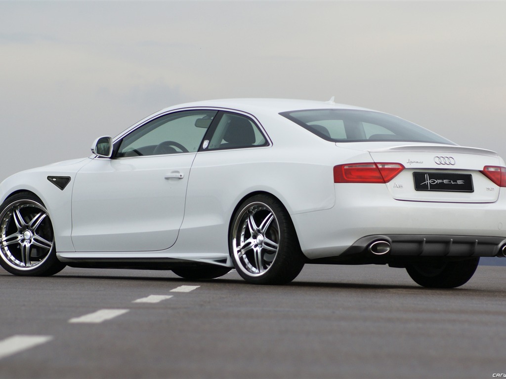Hofele Audi A3 S3 8PA A4 B6 Cabrio A5 B8 Coupe 奧迪 #23 - 1024x768