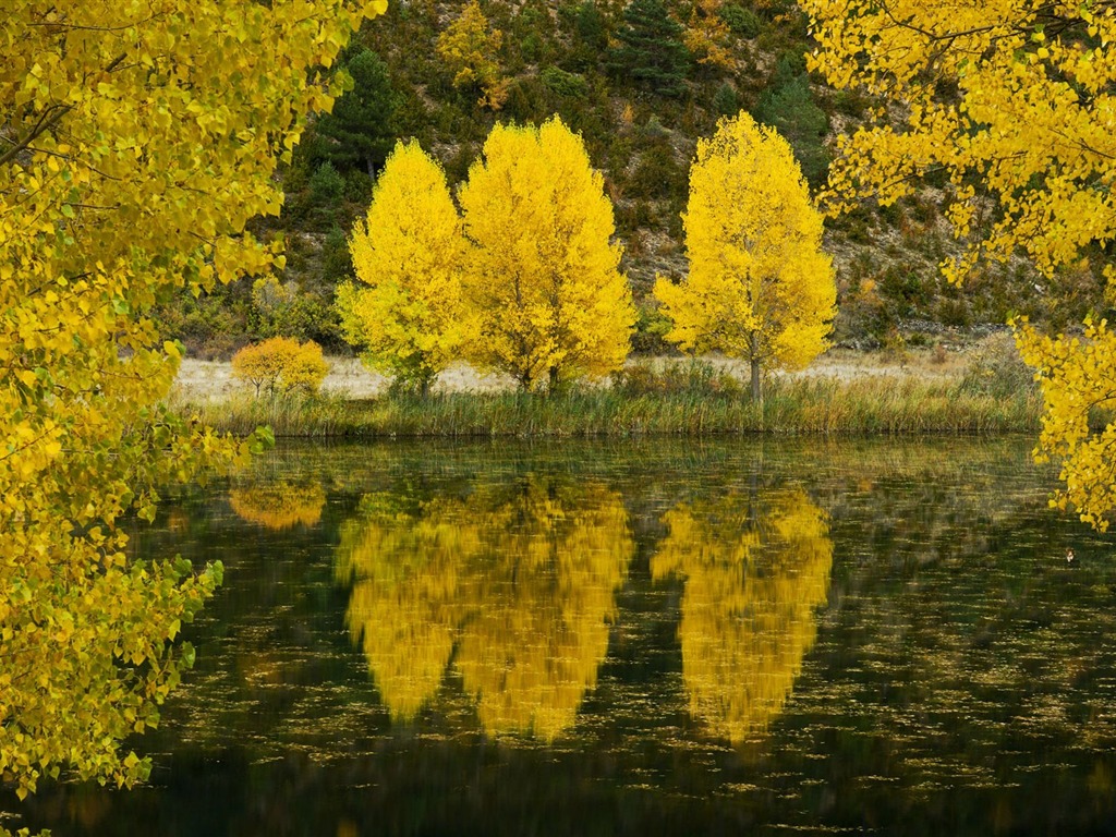 風景コレクションの壁紙 (65) #17 - 1024x768