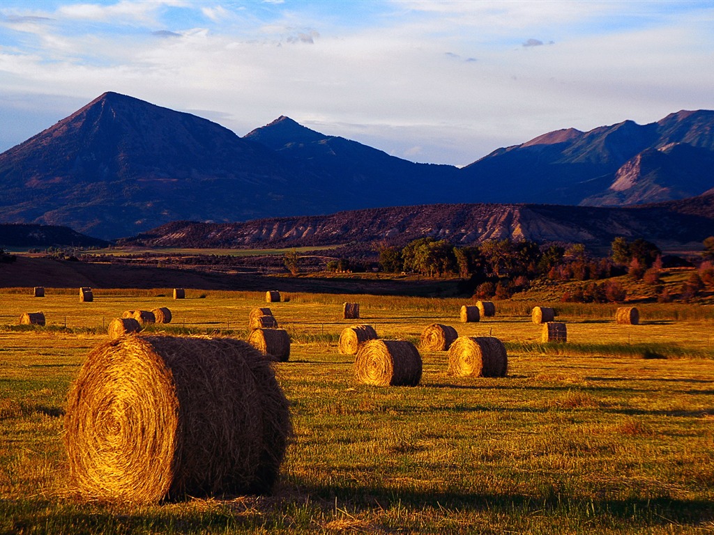 Autumn harvest wallpaper #5 - 1024x768