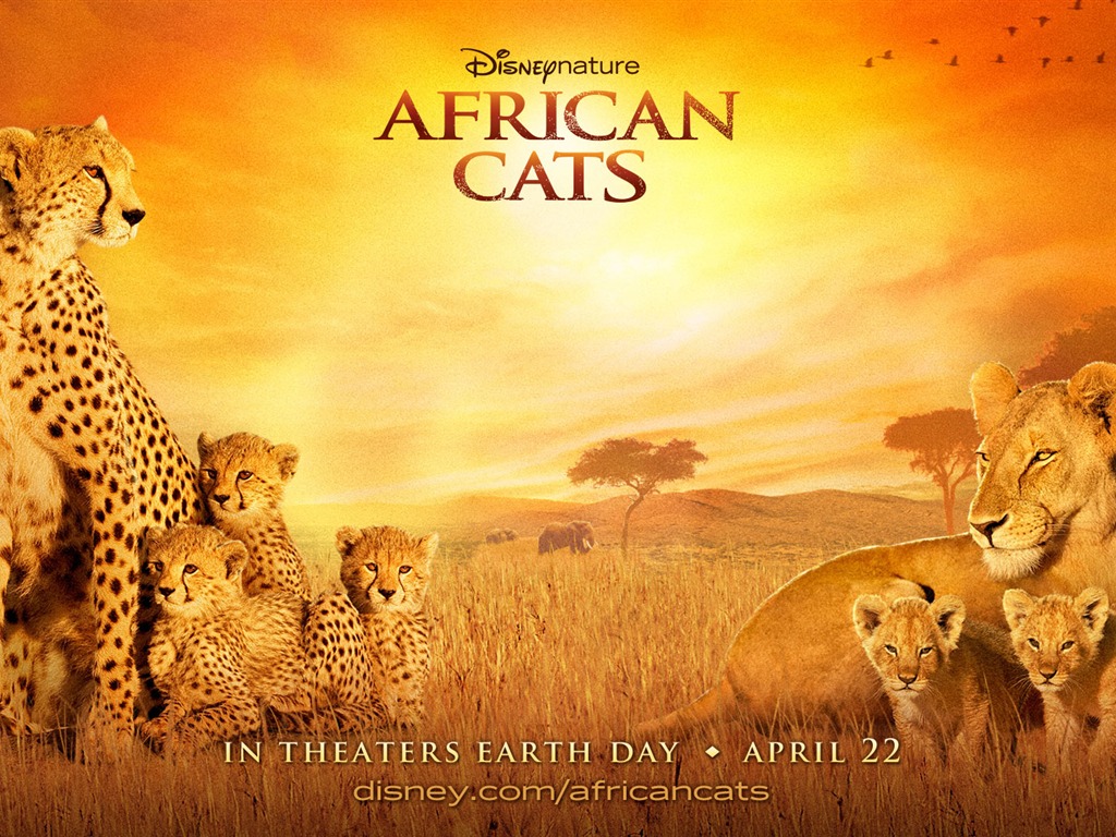 African Cats: Kingdom of Courage 非洲貓科：勇氣國度 #3 - 1024x768