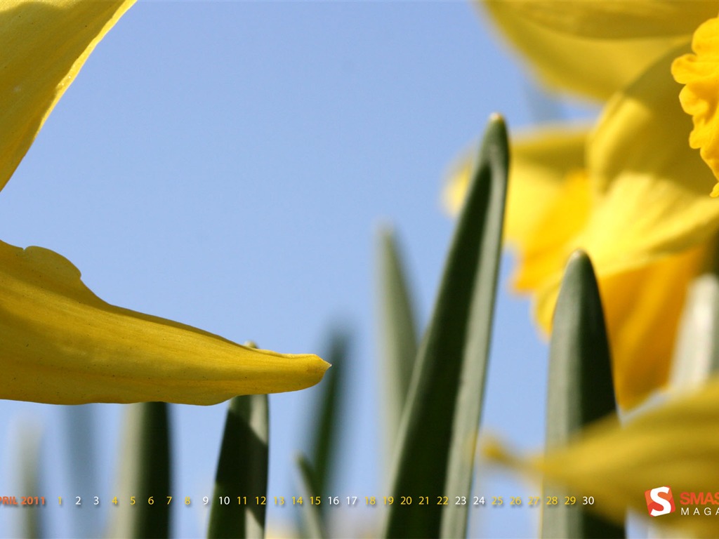 Fond d'écran Calendrier Avril 2011 (1) #10 - 1024x768