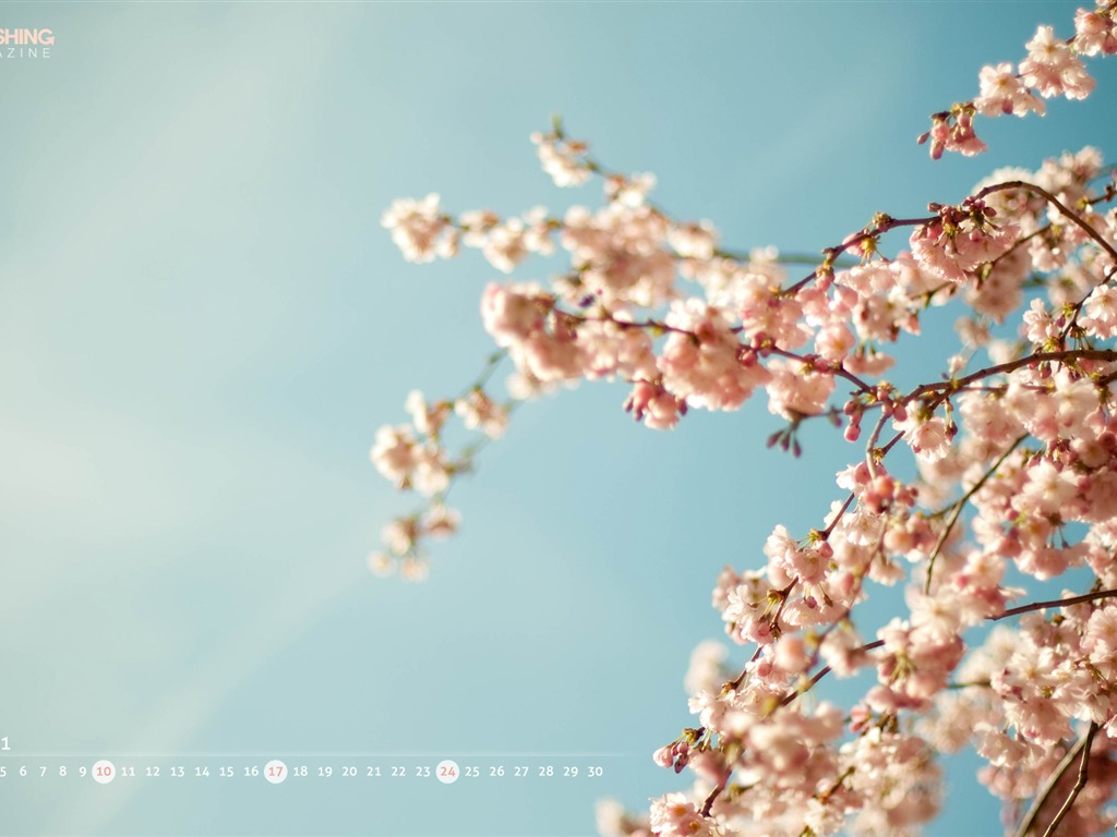 April 2011 Calendar Wallpaper (1) #19 - 1024x768