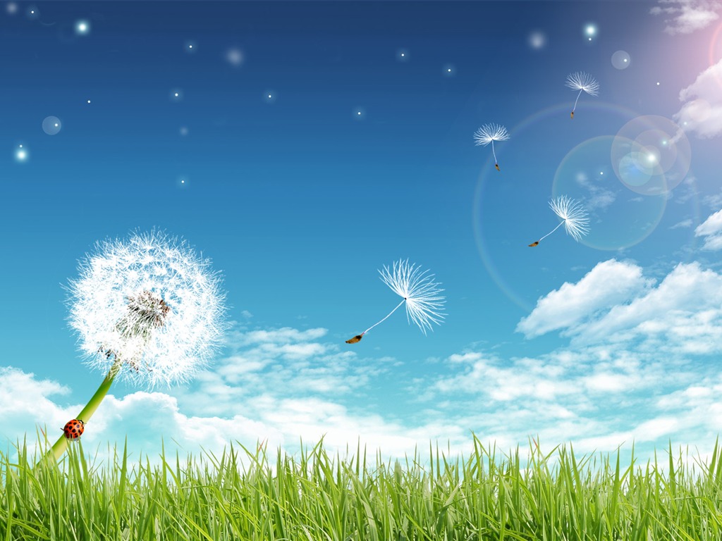 陽光燦爛的夏天 PS風景壁紙(一) #13 - 1024x768