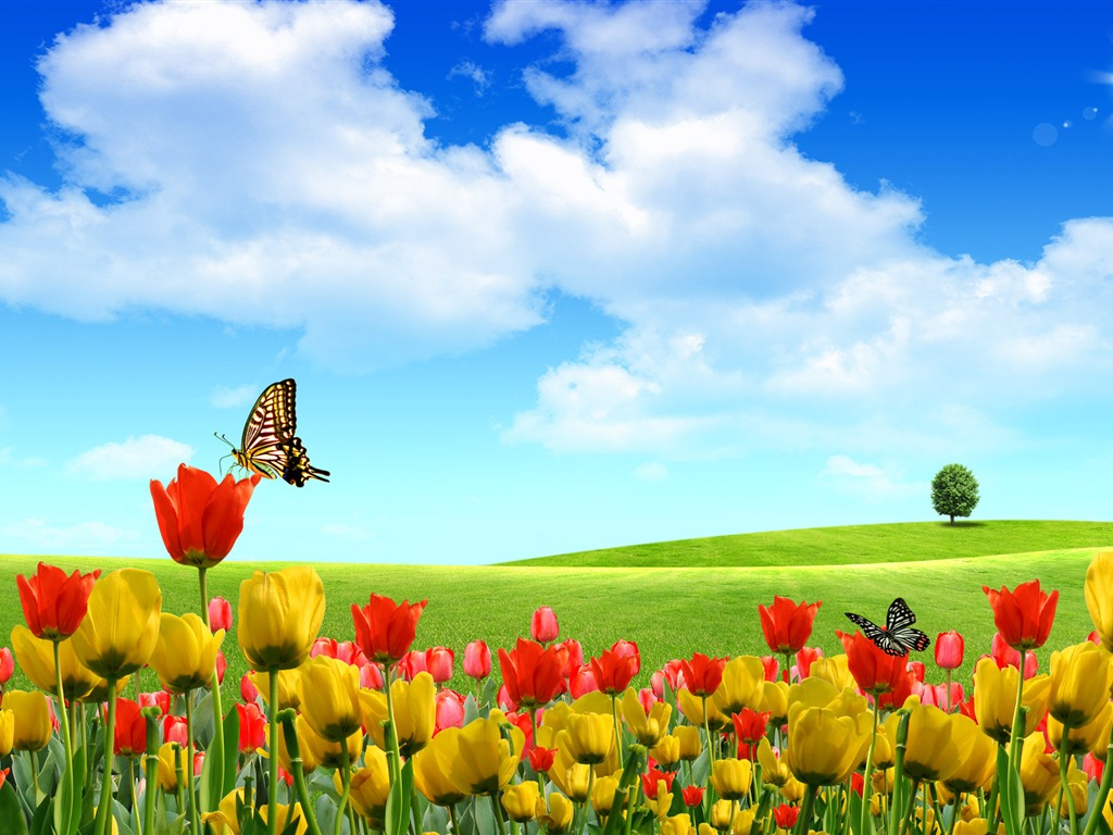 Photoshop sonnigen Sommertag Landschaft Wallpaper (1) #19 - 1024x768