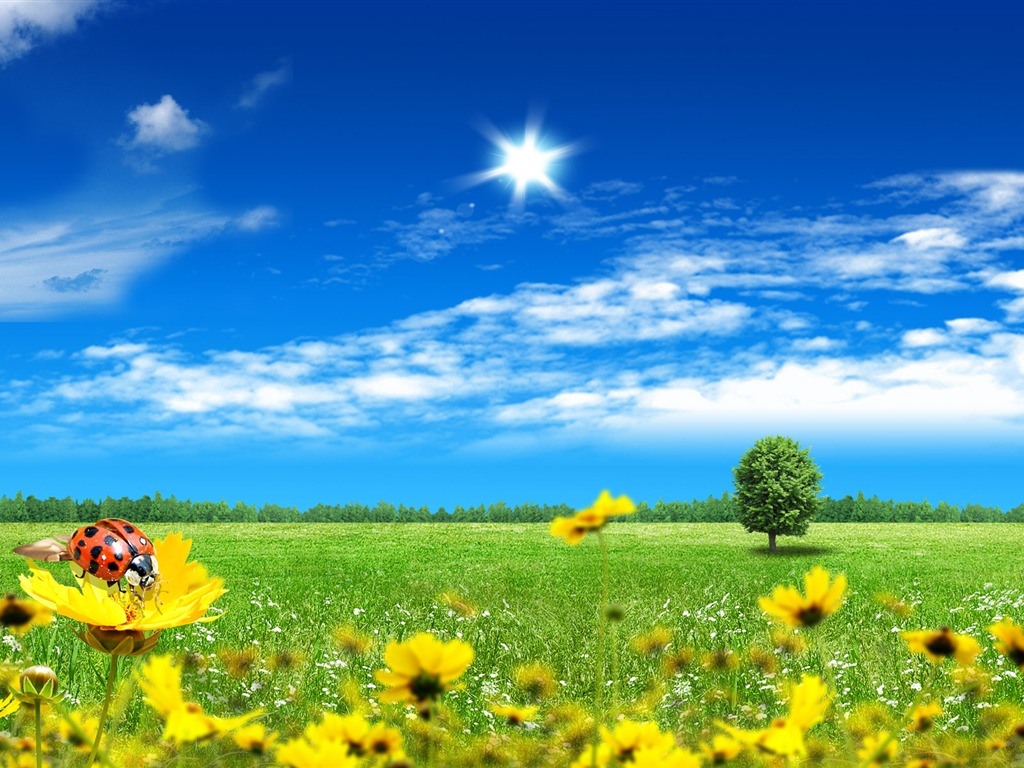 陽光燦爛的夏天 PS風景壁紙(二) #8 - 1024x768
