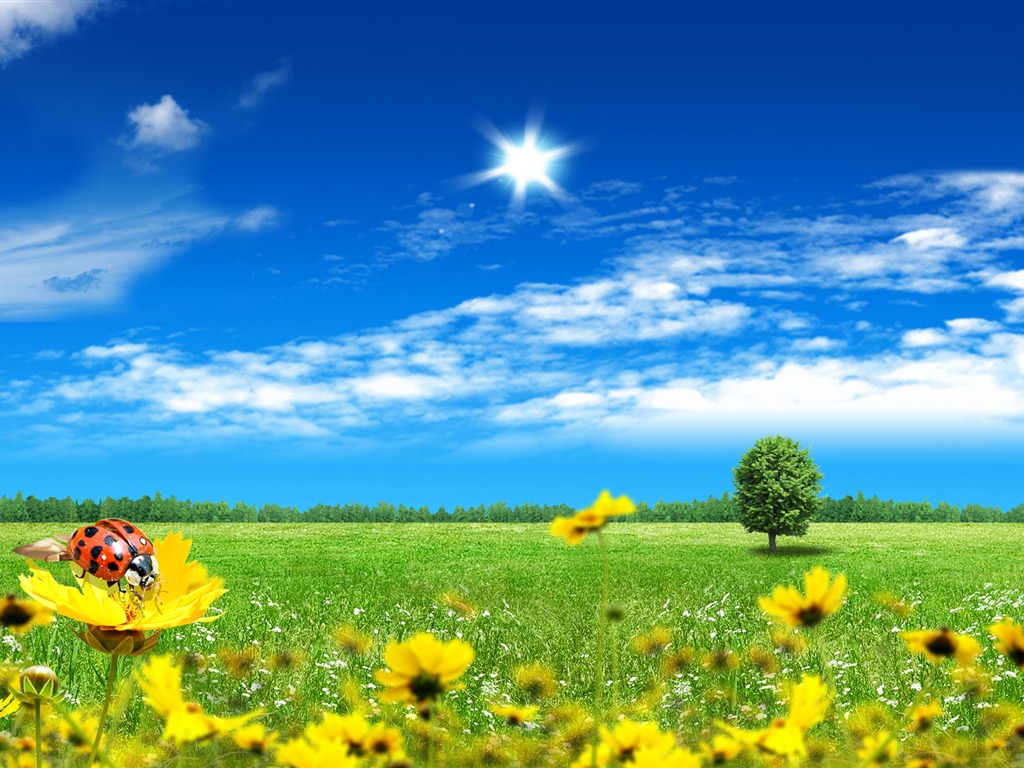 Photoshop sonnigen Sommertag Landschaft Wallpaper (2) #8 - 1024x768