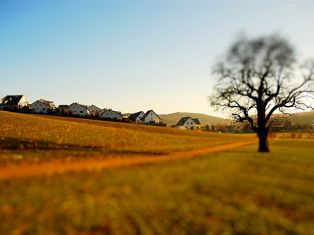 Real zu der feindlichen Miniaturlandschaft Verschiebung Fotografie Wallpaper (1) #20 - 1024x768