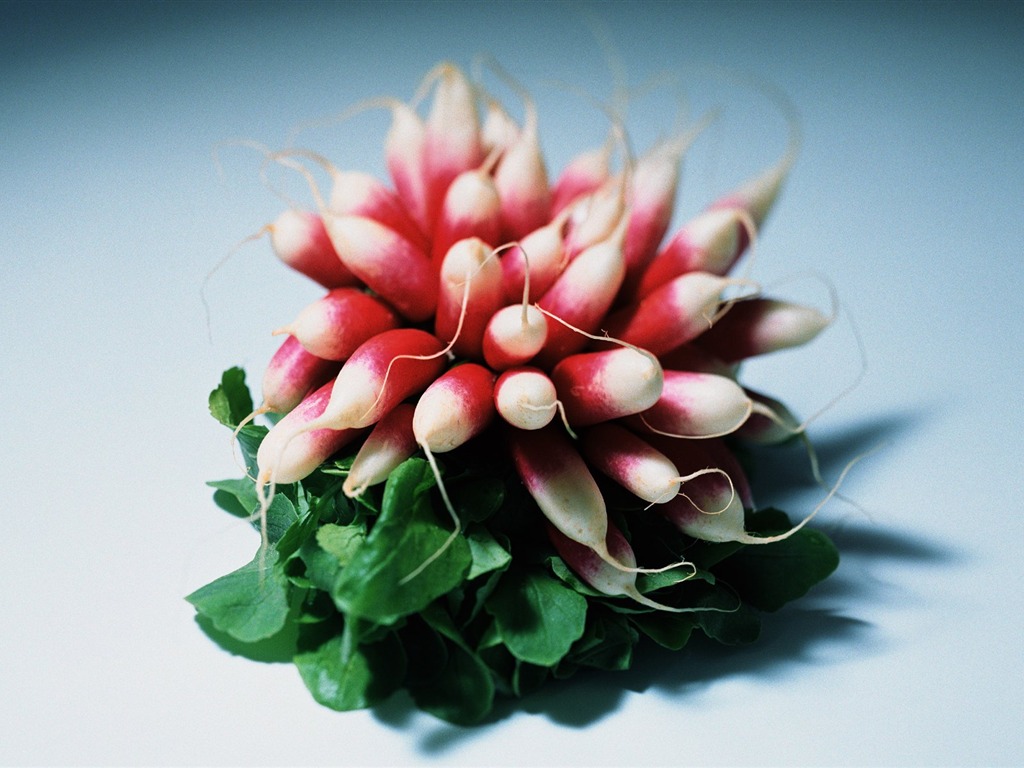 壁紙緑の野菜 #5 - 1024x768