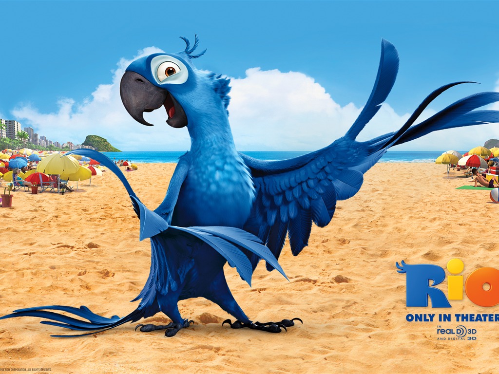 Rio 2011 里約大冒險 壁紙專輯 #2 - 1024x768