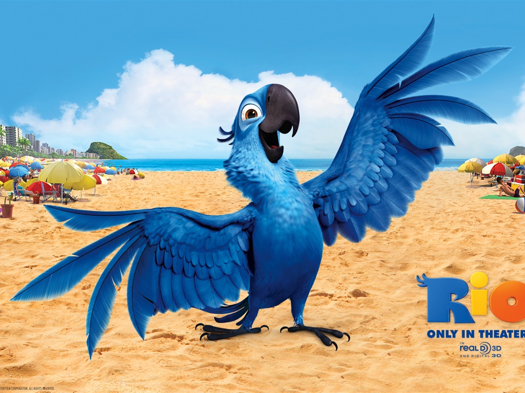 Rio 2011 里約大冒險 壁紙專輯 #4 - 1024x768