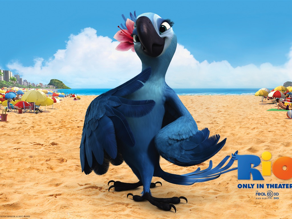 Rio 2011 里約大冒險 壁紙專輯 #5 - 1024x768
