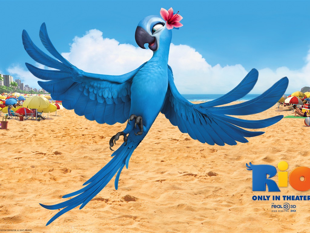 Rio 2011 里約大冒險 壁紙專輯 #6 - 1024x768