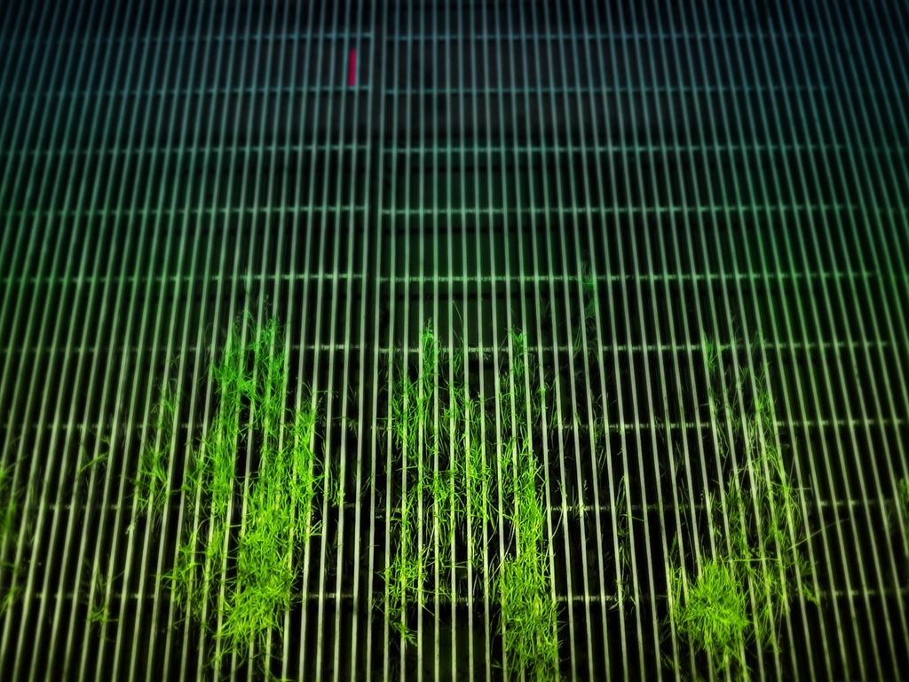 城市街景隨拍(一) #18 - 1024x768