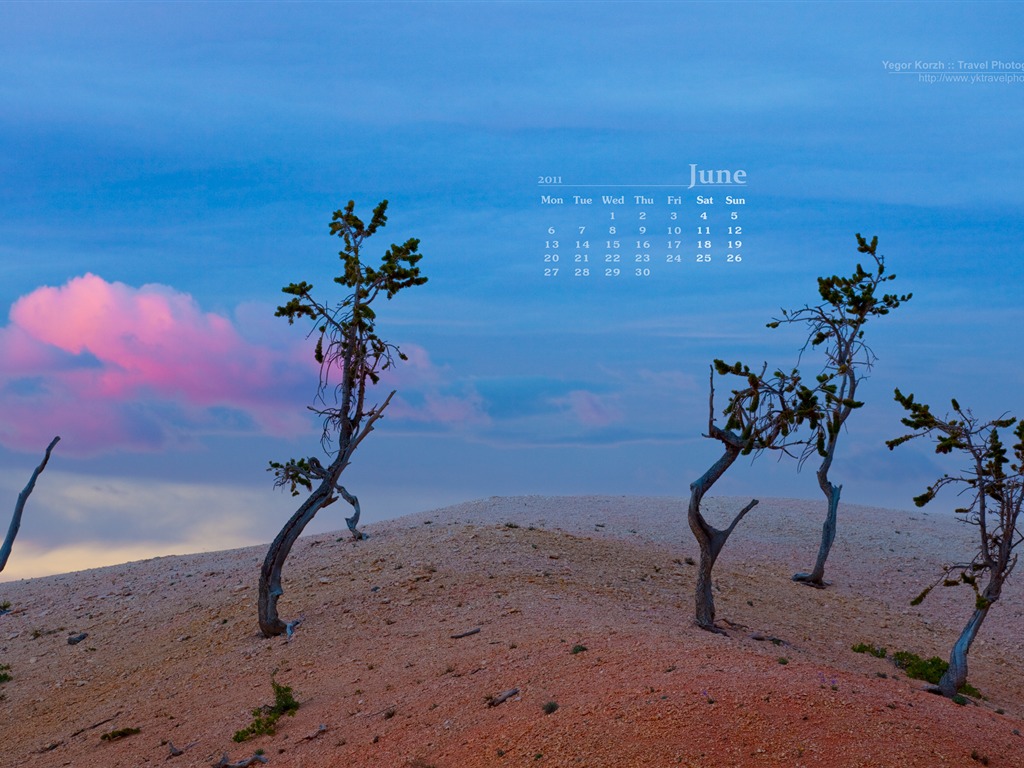 Juni 2011 Kalender Wallpaper (1) #4 - 1024x768