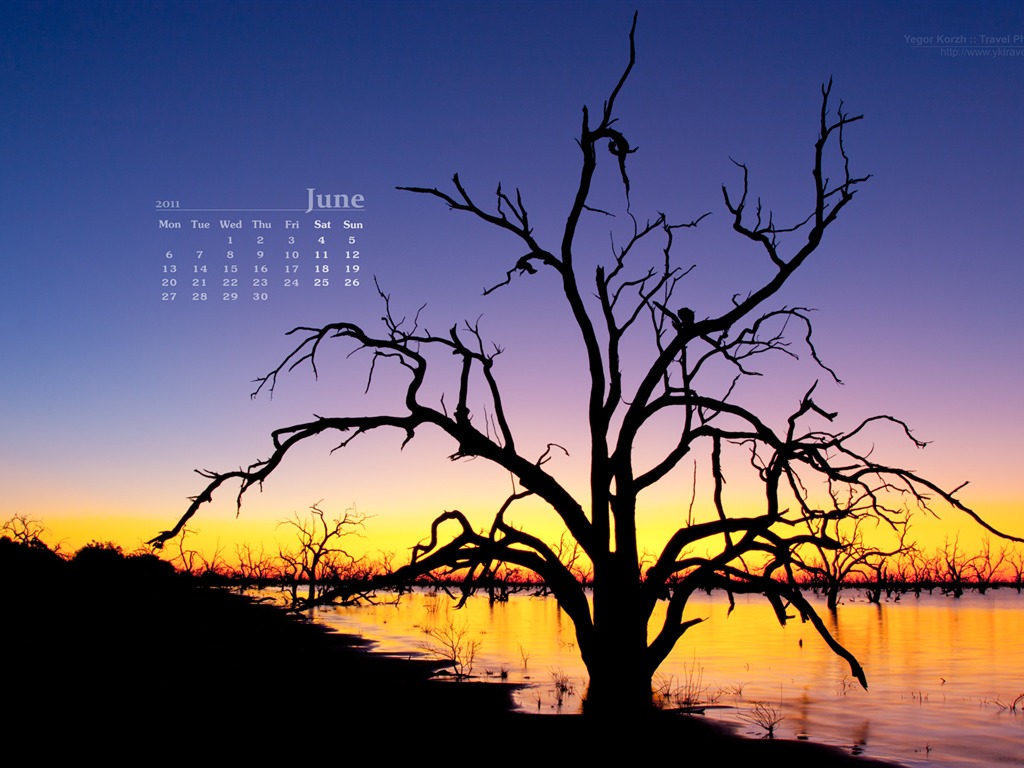 Juni 2011 Kalender Wallpaper (2) #13 - 1024x768