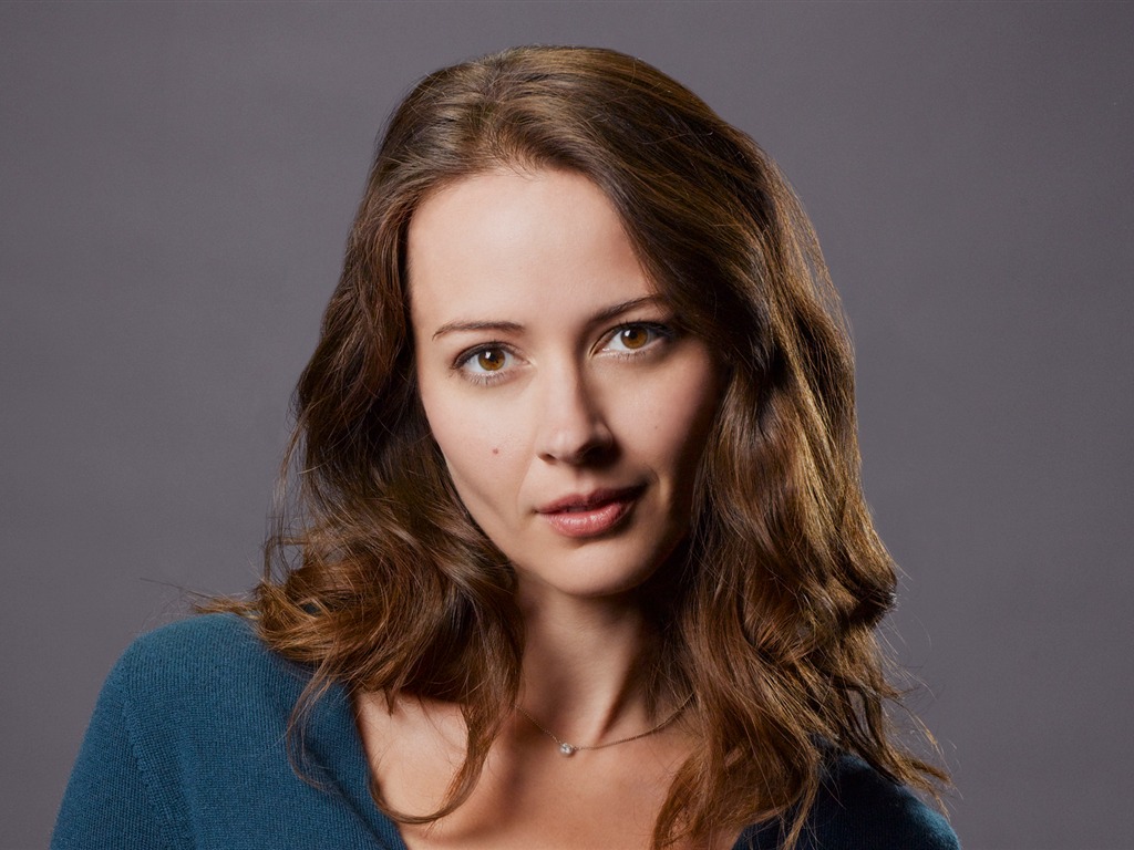 Amy Acker krásnou tapetu #6 - 1024x768