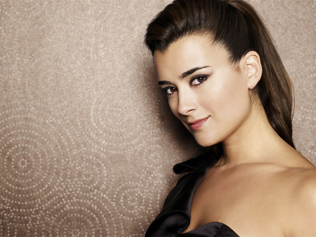 Cote de Pablo krásnou tapetu #3 - 1024x768