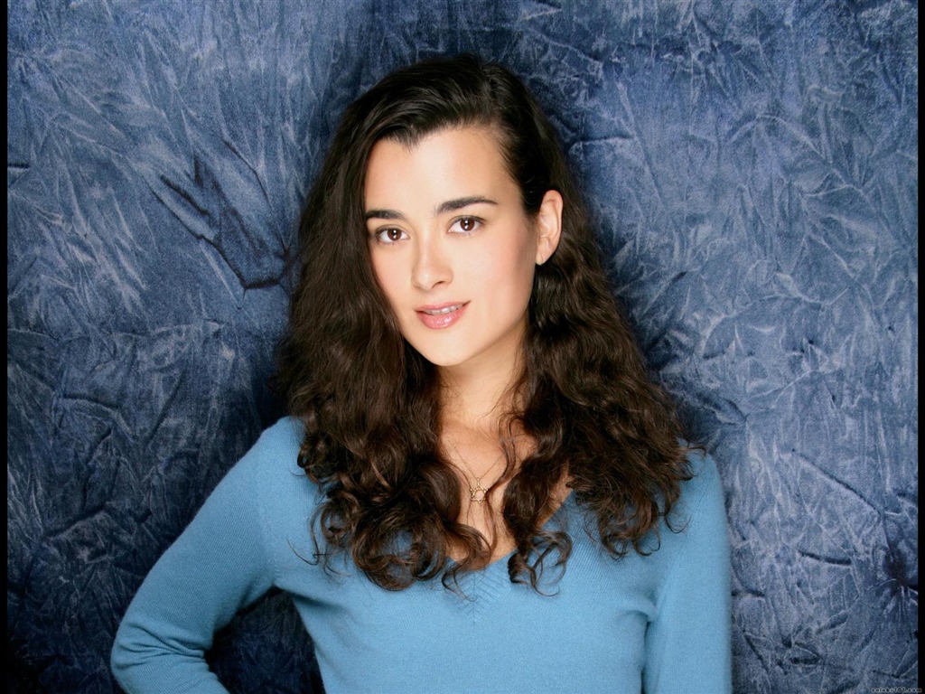 Cote de Pablo krásnou tapetu #5 - 1024x768